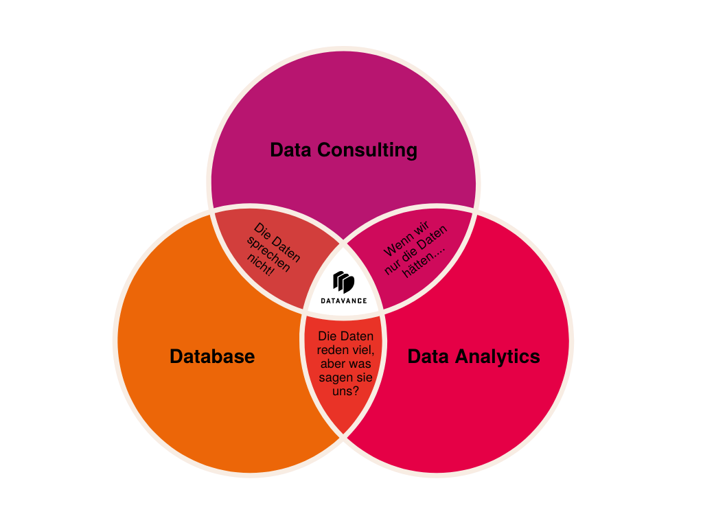 Datenanalyse, Data Consulting, Datenbank, Datenmanagement, Datenvisualisierung