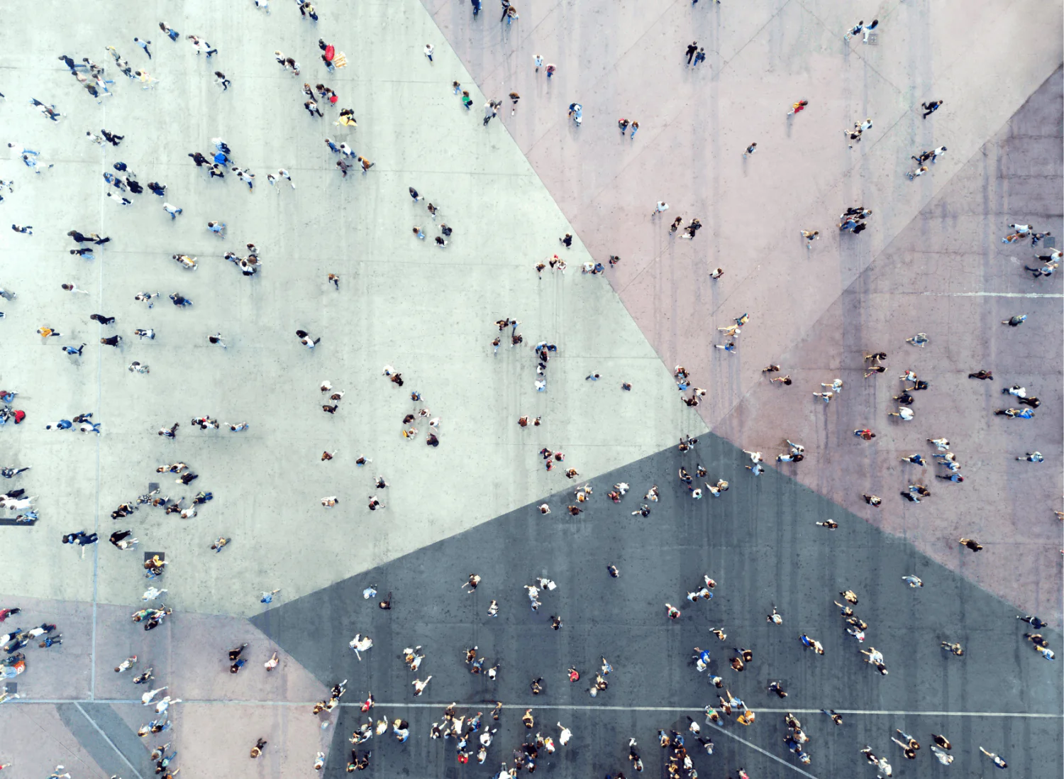 Whitepaper, Kunden, Segmentierung, Clusteranalyse, Kundengruppen identifizieren