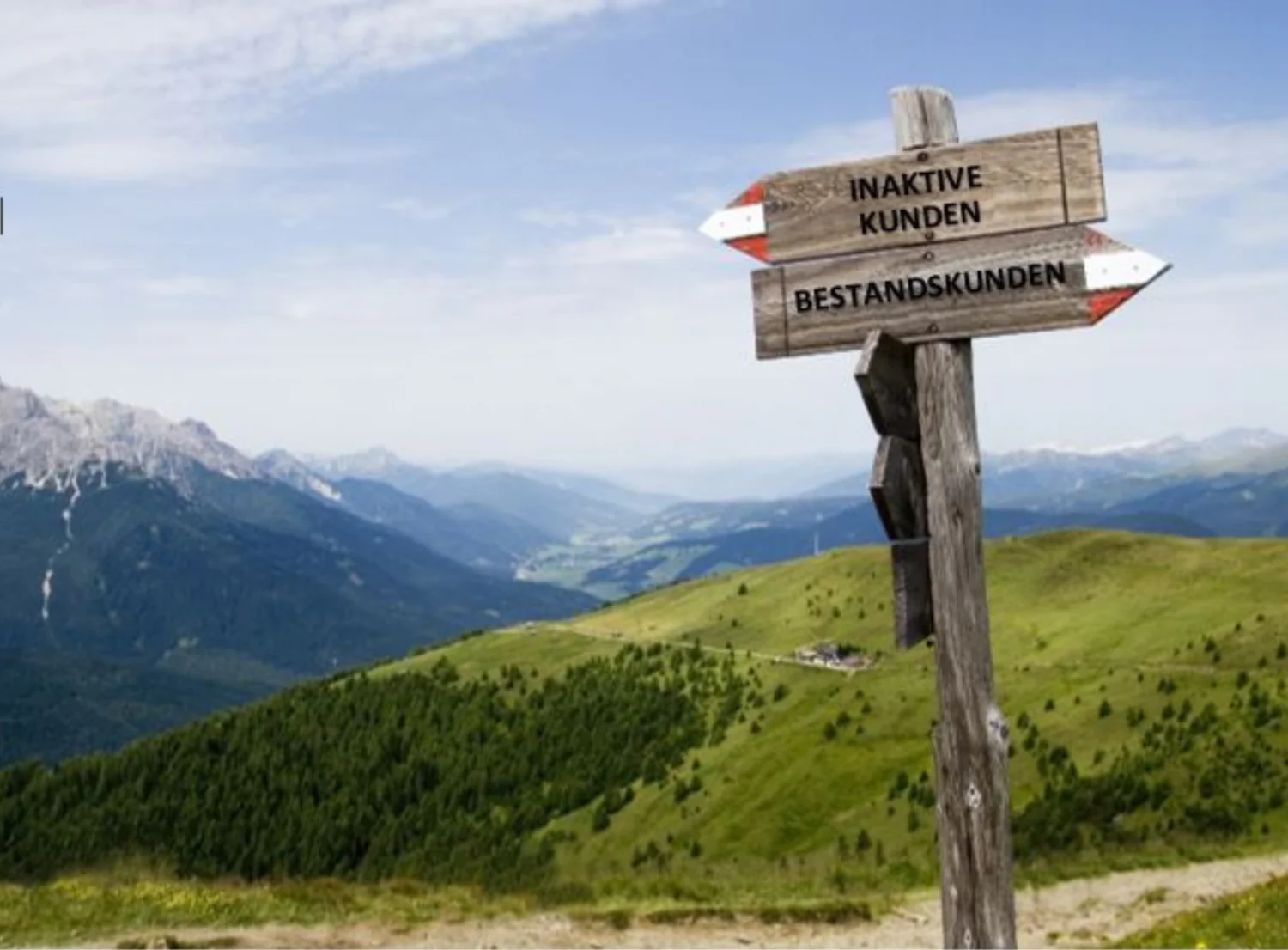 Whitepaper, Kundenwanderung, Kundentrends, Kundenanalyse, Kundenentwicklung